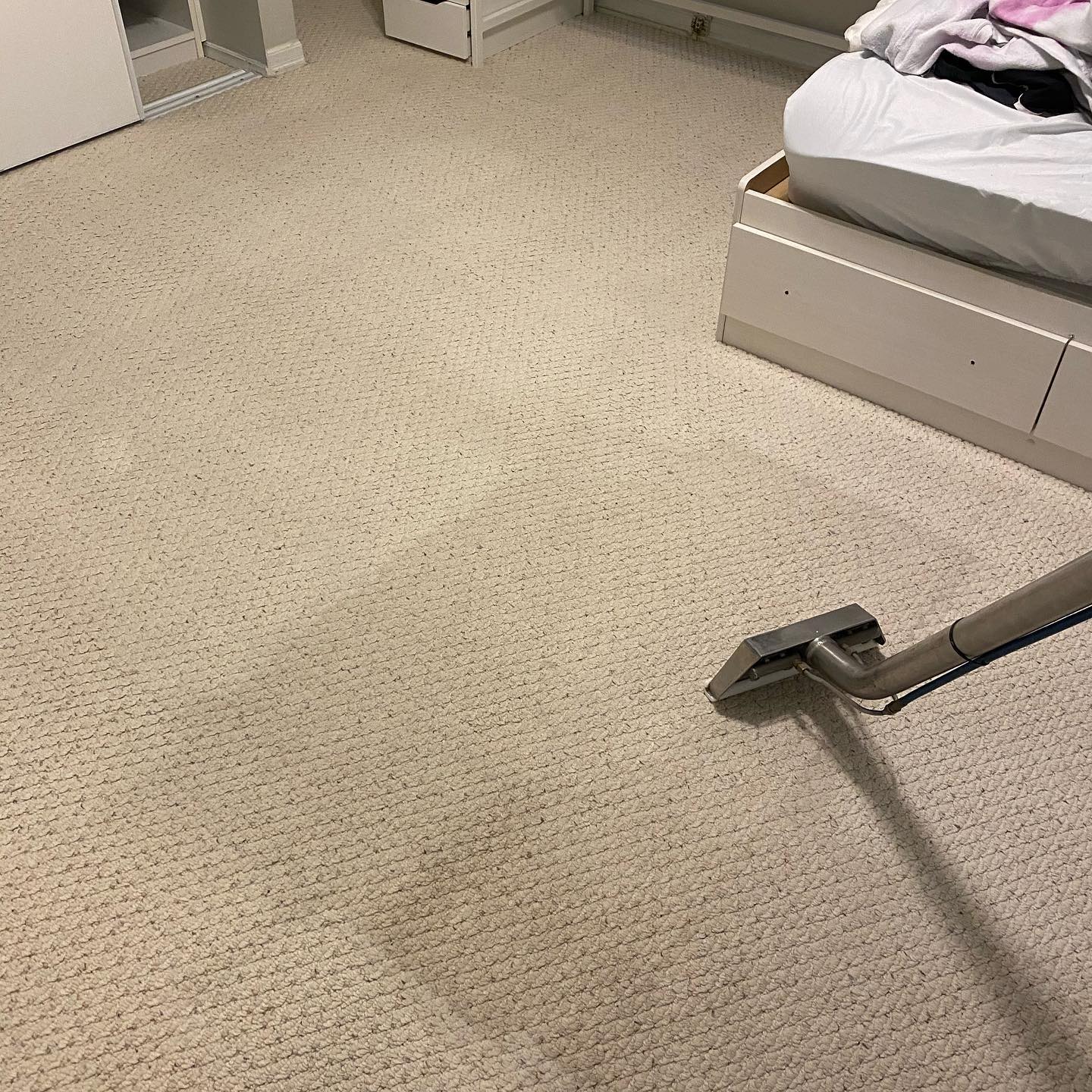 Things To Know Before Hiring Carpet Cleaning, Furniture Cleaning, and Carpet Care