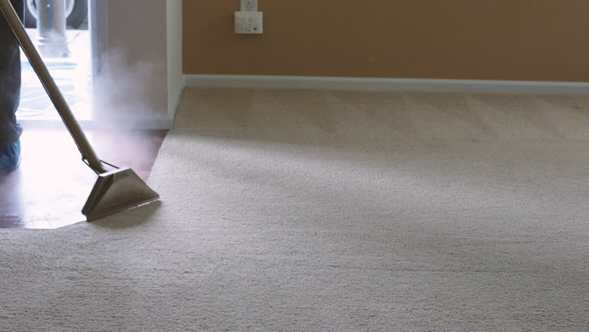Carpet Cleaning Procedure For Removing Pet Odour And Stains