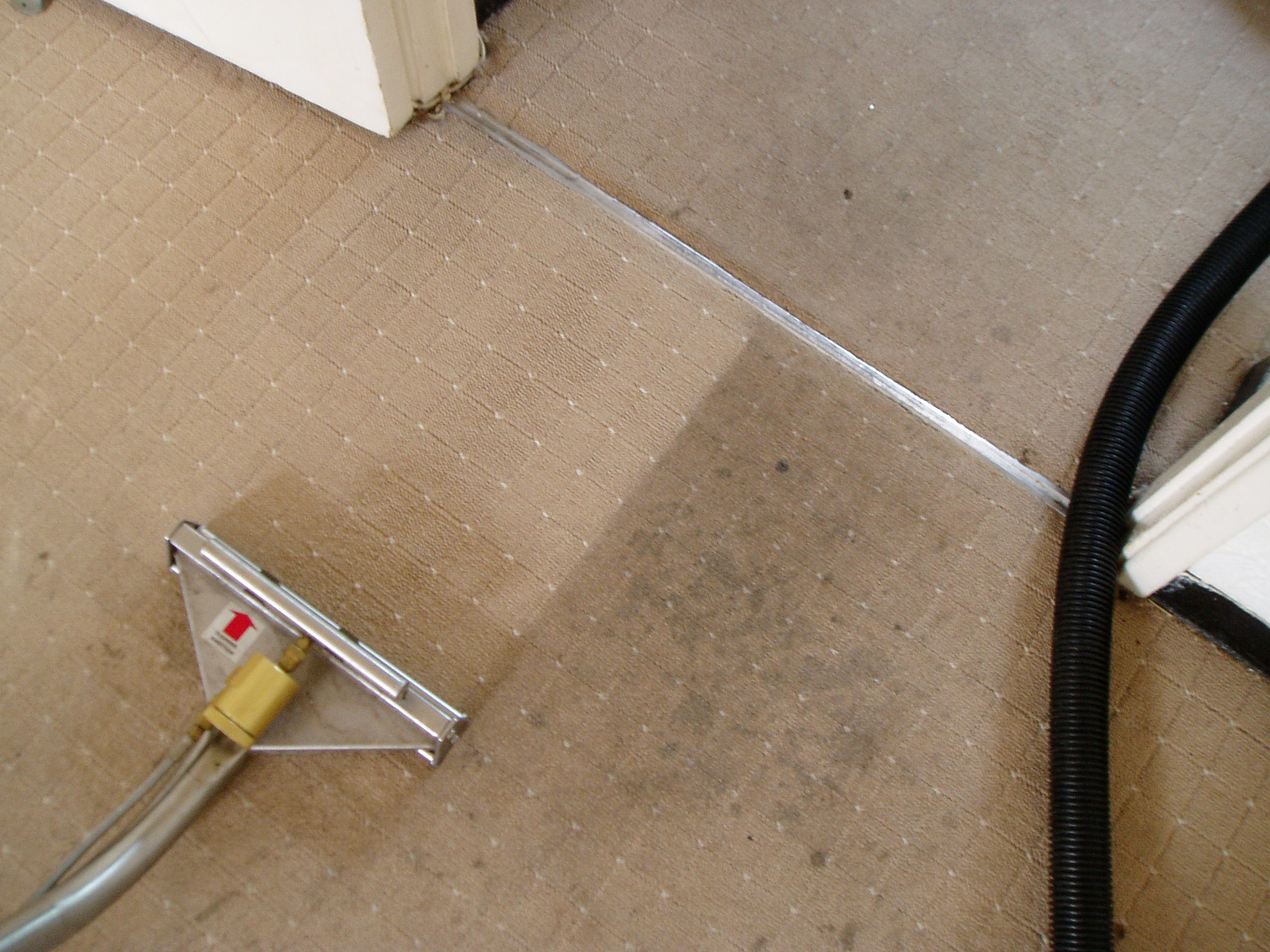 How Fresh Carpets Can Keep You Stable