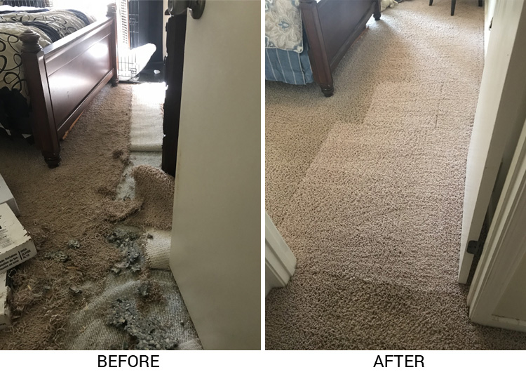 Importance Of Professional Carpet Repair Services