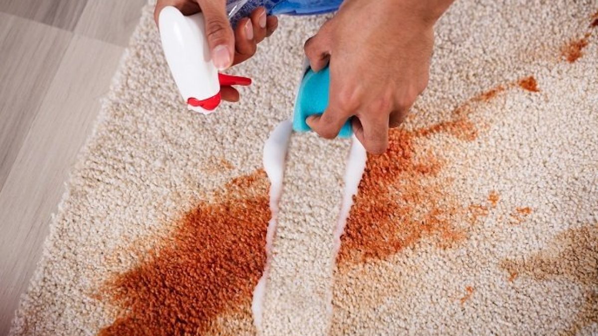 How To Remove Stains From Carpets: Tips And Tricks For Removing Different Types Of Stains From Carpets!