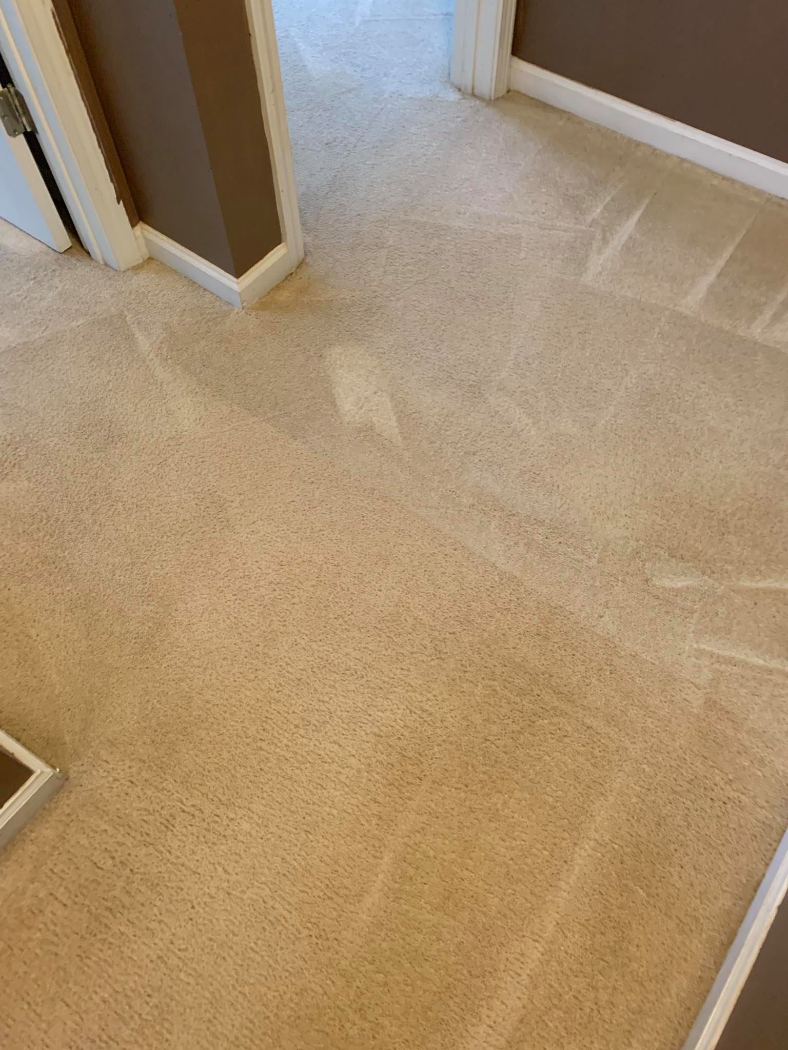 Is Carpet Cleaning From Professionals A Profitable Deal?